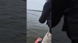 СТРЕСС-ТЕСТ. Hearty Rise Pelagic One&Half VS СОМ