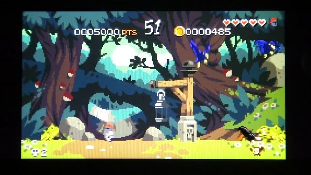 Curses 'N Chaos PS Vita Gameplay смотреть онлайн