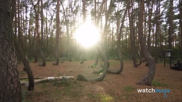 10 Mysterious Places That CAN'T BE EXPLAINED смотреть онлайн