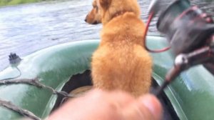 СПЛАВ ПО РЕКЕ УСТЬЯ НА РЕЗИНКЕ СО СПИННИНГОМ