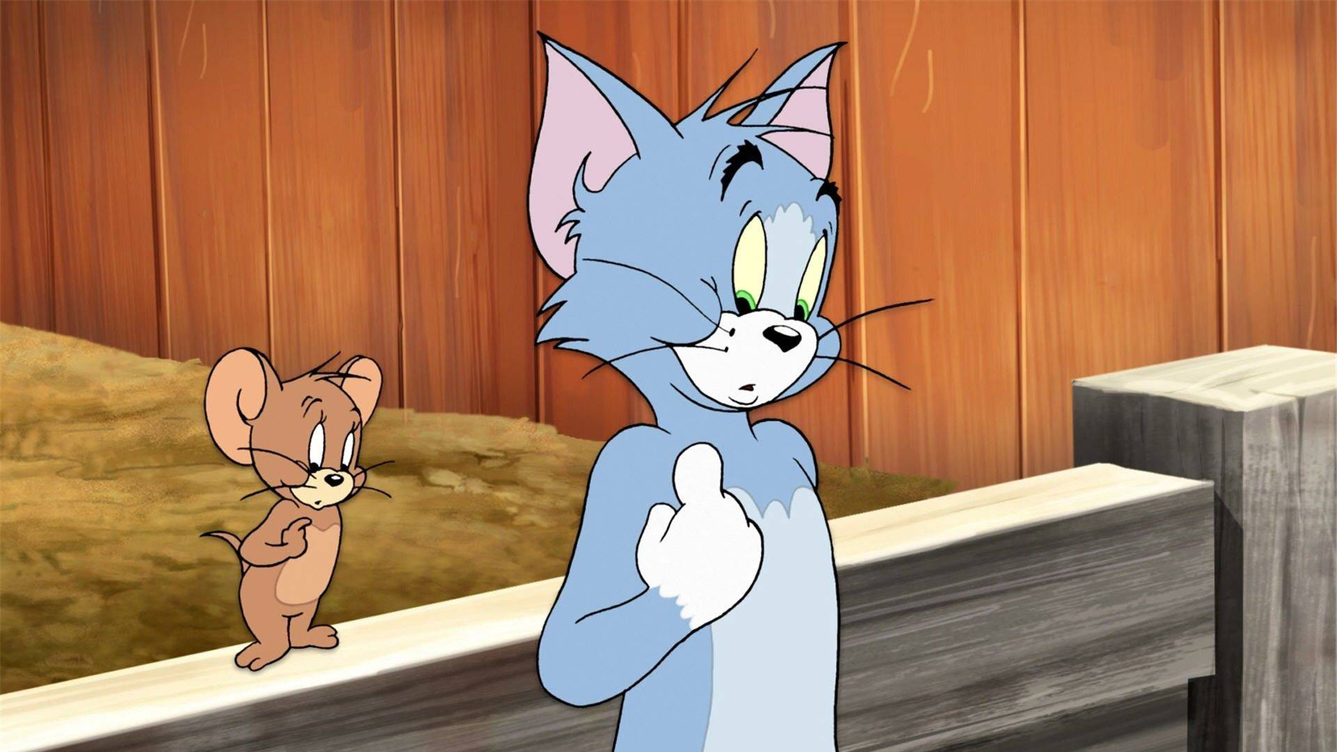 Tom & Jerry 10 смотреть онлайн