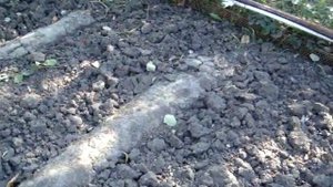 Как оздоровить почву на огороде осенью