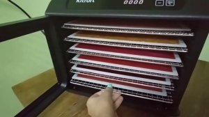 "Фруктово-ягодная пастила" Обзор сушилки для овощей и фруктов Kitfort - KT-1904