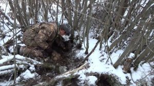Охота с гончей в 2016г.