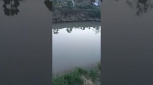 Как живёт мой бестер?!