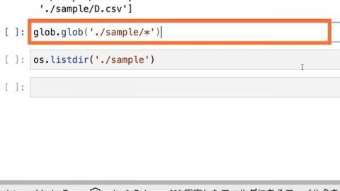 【毎日Python】Pythonで特定のファイルを指定する方法|glob.glob