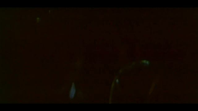 Гроссмейстер (1972, художественный фильм)