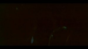 Гроссмейстер (1972, художественный фильм)