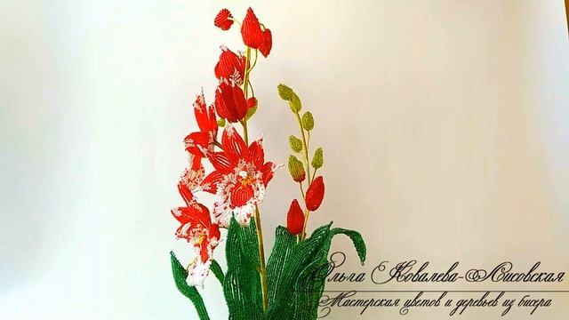 «ОРХИДЕЯ КАМБРИЯ»/ Цветы из бисера/ Бисероплетение/ОБЗОР К МАСТЕР-КЛАССУ смотреть онлайн