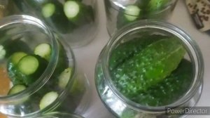 10 баночек болгарских огурчиков