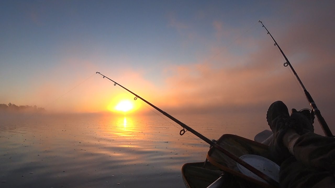 Рыбалка на сазана - удочки ГНЕТ БУБЛИКОМ!!!! Прекрасный рассвет в тумане