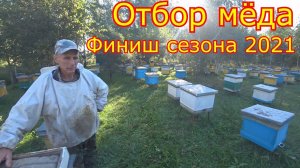 Отбор мёда в Хвостах, Результат по мёду!