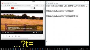 How to Copy YouTube Video URL at the Current Time