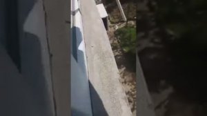 Установка отливов на окна. К чему приводит отсутствие отливов на окнах