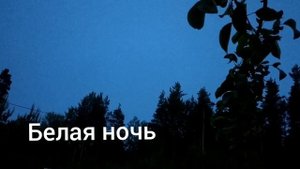 Белая ночь
