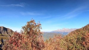 КРАСНАЯ ПОЛЯНА/МАРШРУТ "Альпийские луга" и "Перевал Аибга"