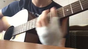 ПОШЛАЯ МОЛЛИ - ПАКИ ПУСИ (acoustic guitar cover)