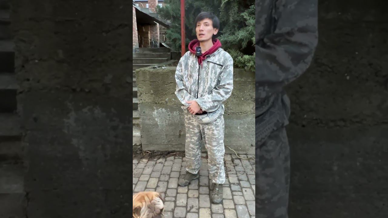 Рай! Проблемы с доверием и вандализм! #кинолог #кинология #собака #dog #short #шарпей