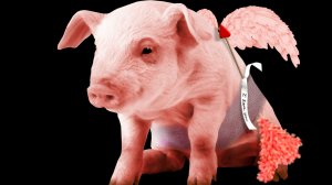 Одноклассники Свинарник и лохотрон