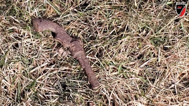 Minelab Equinox Series Threshold Settings What & How смотреть онлайн