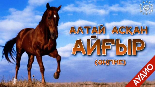 ИЕСІН ДАУСЫНАН ТАНЫҒАН АЙҒЫР❗ | Жылқы Жайлы