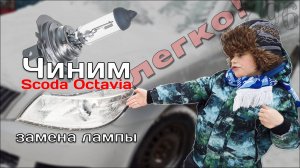 Чиним Фару Шкода Октавия А5 / Замена Лампы Ближнего Света в Фаре Scoda Octavia A5 / Как Снять Фару