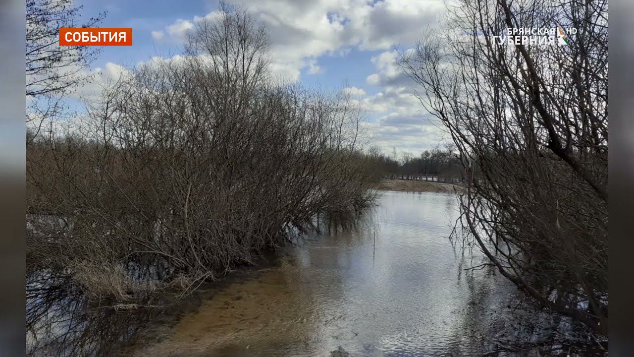 Подъем воды в десне. Радица-Крыловка Брянск река. Половодье в 2013 г в Брянск. Половодье реки. Уровень воды в реке Десна Брянск.