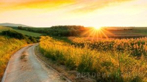 Родила такую, вот сама и расти, уходя, сказал муж. А спустя 10 лет…