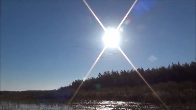 Плаваем по болотам на севере Канады смотреть онлайн