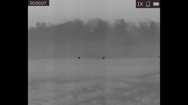 Hikmicro Lynx PRO 15mm смотреть онлайн