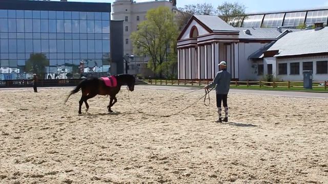 Canon EOS 100D: тест видеорежима в формате Full HD смотреть онлайн