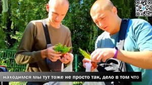 Птичий Рынок АКВАРИУМИСТИКИ в Германии! Обзор наших аквариумных покупок и подарков!