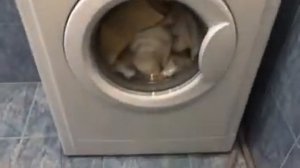 загрузка стиральной машинки