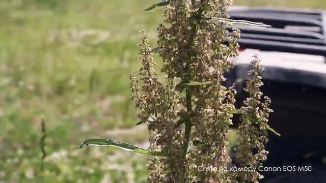 Катание на квадроциклах вместе с Canon Kazakhstan и Ильёй Назаренко смотреть онлайн