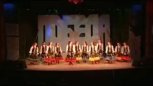 Образцовый художественный коллектив,ансамбль народного танца 