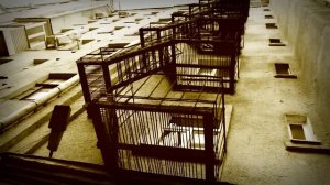 ПРОХОР И ПУЗО "Трамвай" / PROHOR & PUZO "The Tram" © 2012