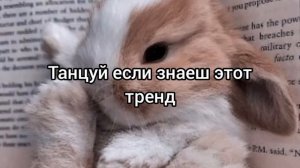 Танцуй если знаеш этот тренд 2023