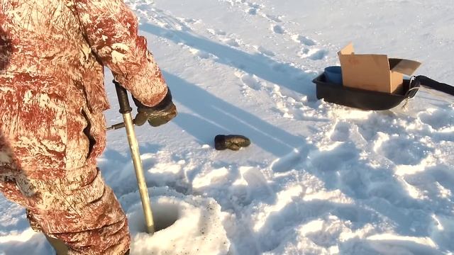 Как добывают МОРМЫША.