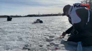 Ловля на стоячую уклейки на карьере в Кстово.