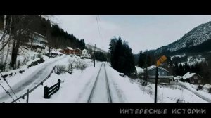 Давай научу пока папы дома нет говорила она сыну. Мама и сын. Измены. Интересные истории.