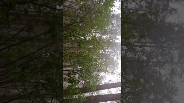 Чудское озеро, Эстония