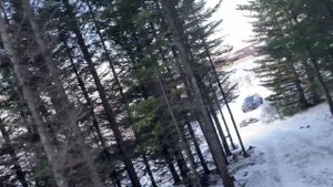 ИСЛАНДИЯ ВСЯ  СТРАШНАЯ ПРАВДА ОБ ИСЛАНДСКОМ ЛЕСЕ!!!!