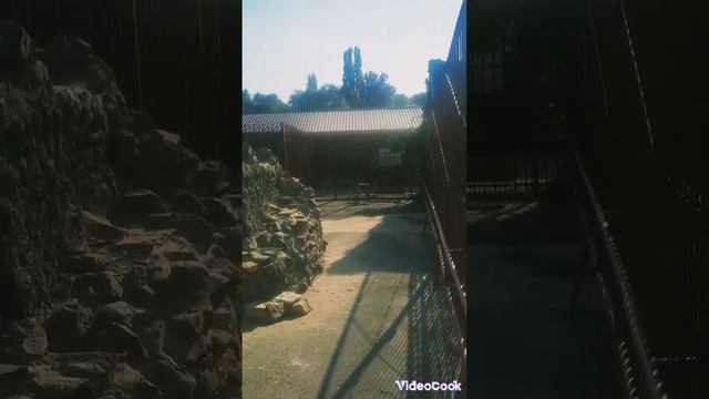 Экскурсия по Липецку #зоопарк #рекомендации #tiktok #экскурсия #липецк