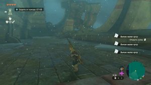 The Legend of Zelda: Tears of the Kingdom - Прохождение #14. Храм Ветра, крылатый ковчег.