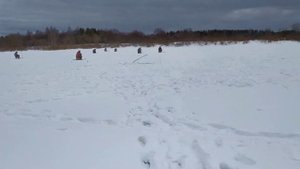 Рыбалка на Ветлуге. Первый выезд на налима.