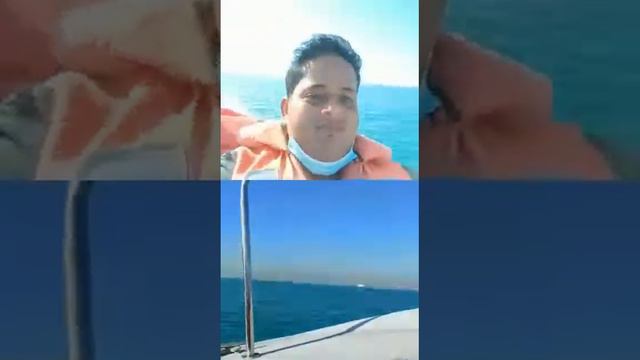 #palm Jumeirah beach ful enjoy in Dubai royal city смотреть онлайн