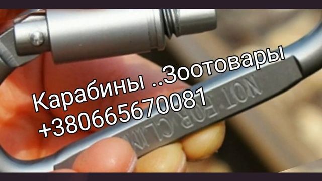 Карабины Магазин Харьков карабин в Украине смотреть онлайн