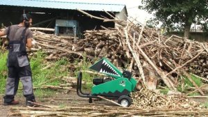 Wood chipper DE-60G. Измельчитель веток DE-60G.