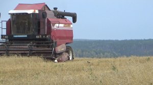 Уборочная комбайном Палессе GS-12. Начали убирать пшеницу.