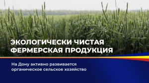 Экологически чистая фермерская продукция